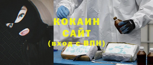 мяу мяу мука Инсар
