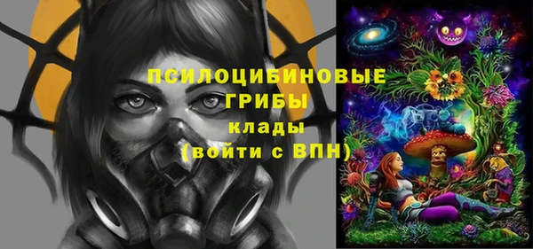 a pvp Иннополис