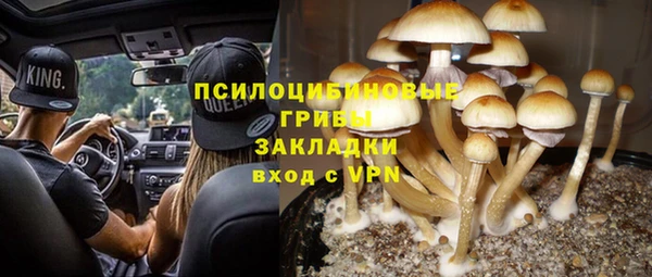 первитин Инта