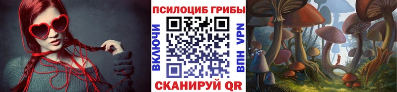 Купить закладки  Катав-Ивановск  Галлюциногенные грибы Cubensis 